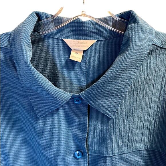 C. J. Banks, Button Up Shirt with Collar,Textured, Blue, 3x - Picture 2 of 8